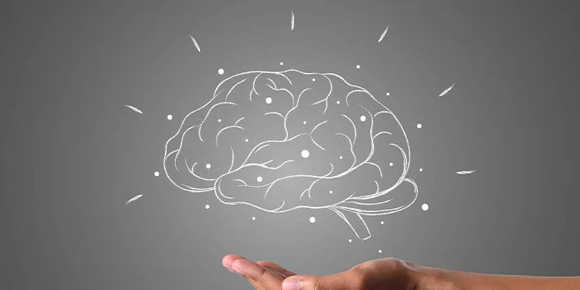 Nootropic Supplements: Boon for Boosting Brain Power