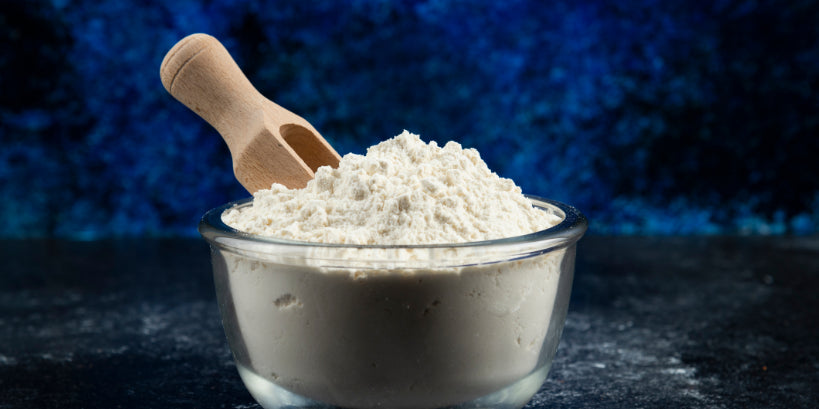 Your guide to protein powder: How to select the best protein powder for muscle gain