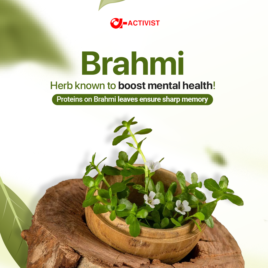 activist bramhi tablets 3