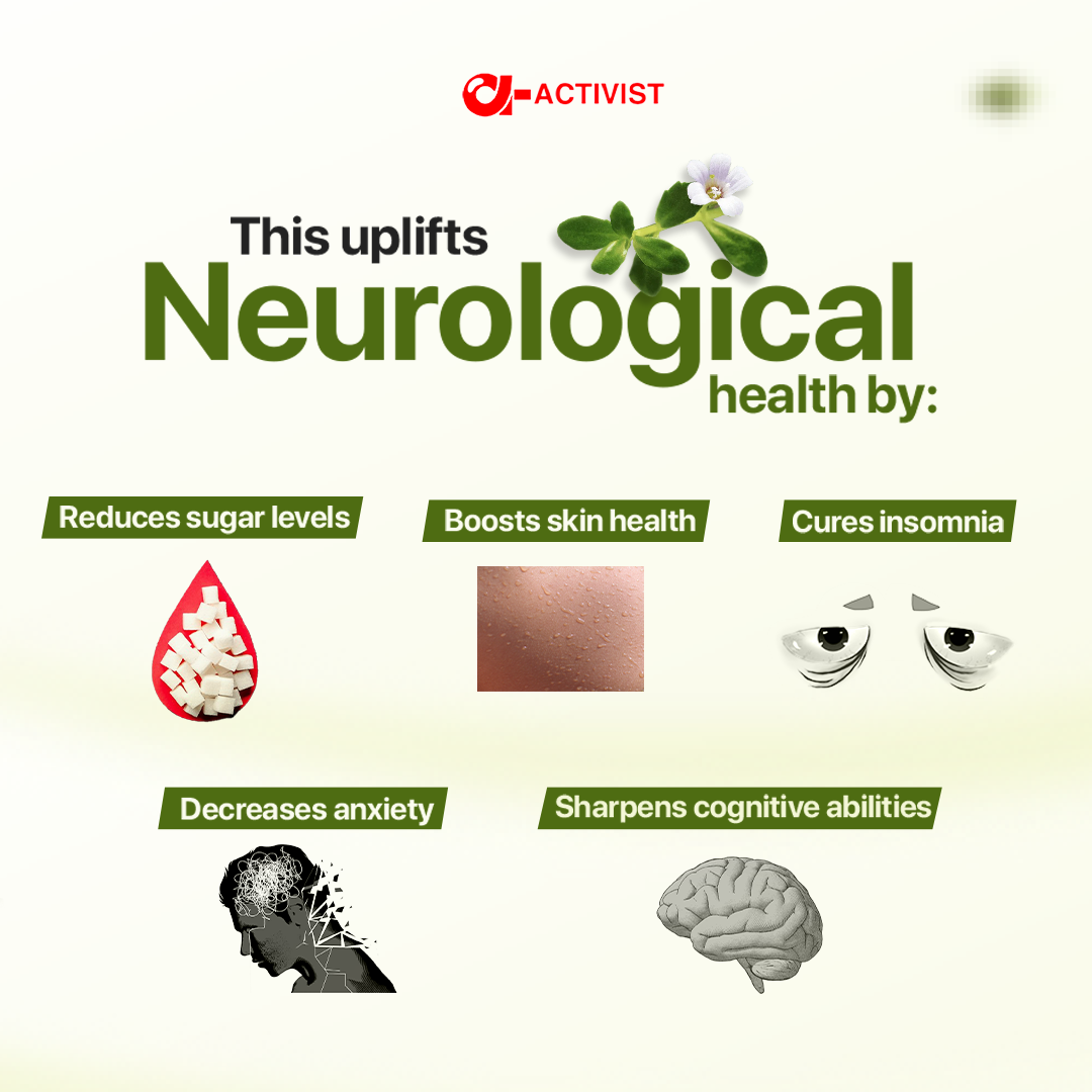 activist bramhi tablets 4