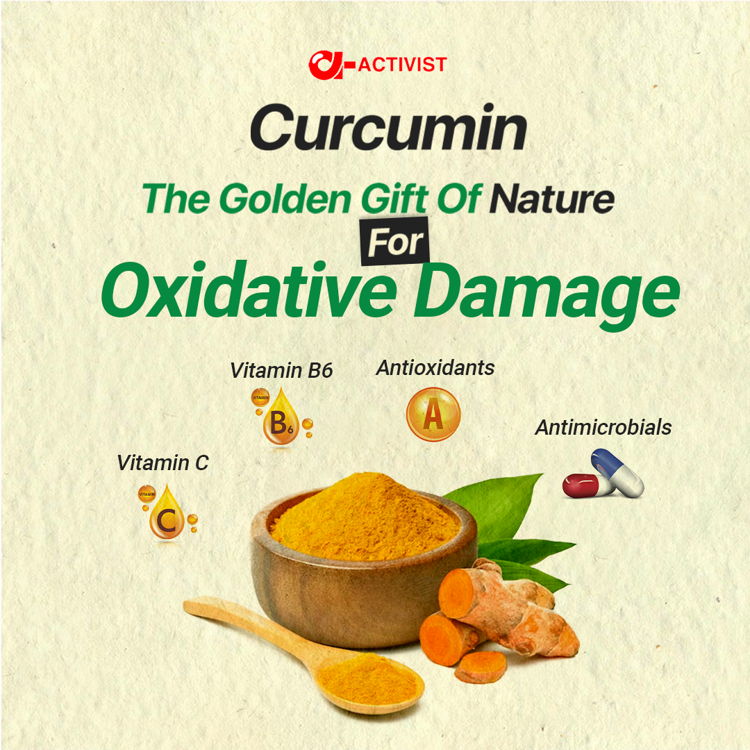 activist curcumin oil liquid capsules 3