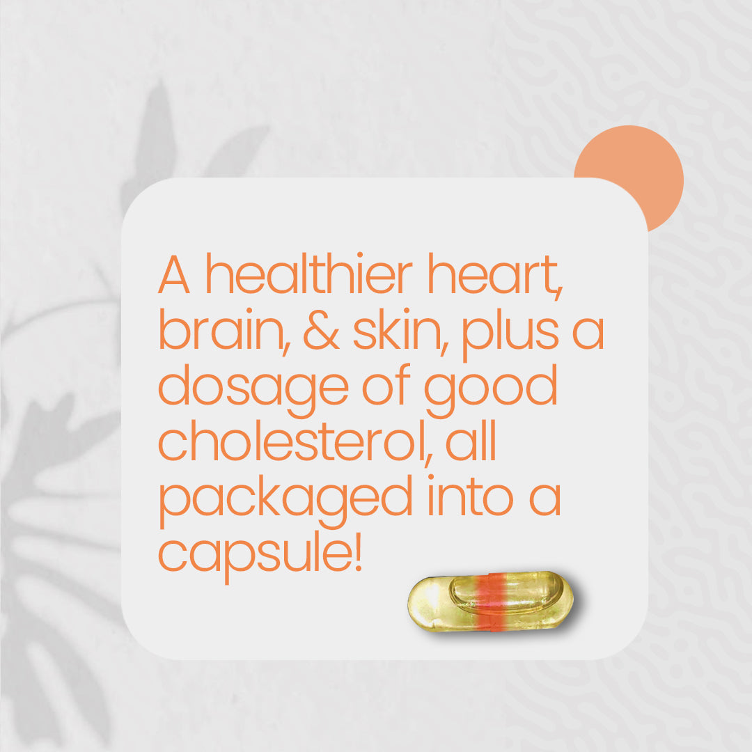 activist flaxseed oil capsules 4