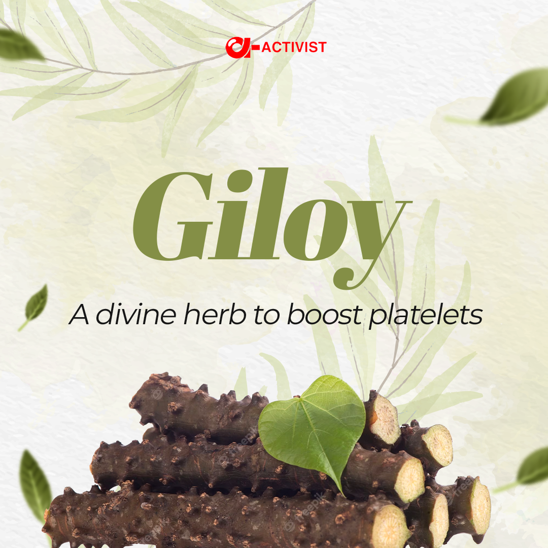activist giloy tablets 3