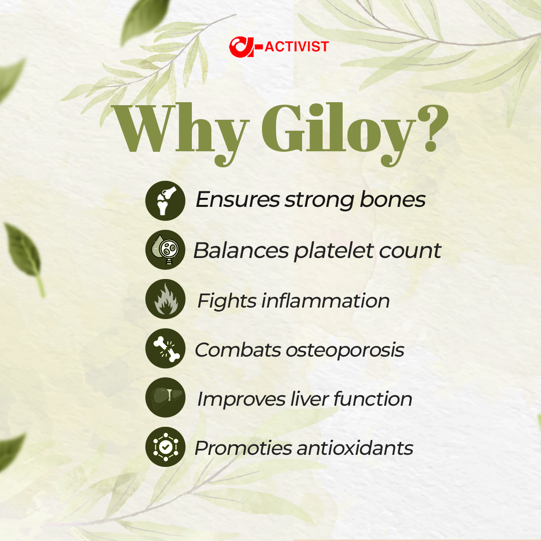 activist giloy tablets 4